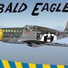 BM_WBS_p51_Bald Eagle