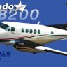 Carenado B200 2014 Paint-Test.zip