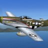 P-51D 'The Millie G' Hi Res