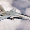 F-14A VF211 Brutus.zip