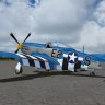 Warbirdsim P-51D Mustang "American Beauty".zip