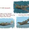 AW P-39D US skinpack6 UT