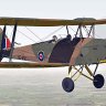 Ant's Airplanes Tiger Moth Pro Repaint DE-992 2024