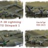 AW P38 SWPTO Skinpack 1