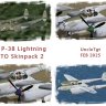 AW P38 SWPTO skinpack 2