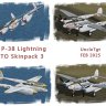 AW P38 SWPTO skinpack 3