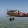 Albatros D.V Ltn Paul Bäumer Jasta 5.