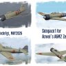 AW A6M2 skinpack1