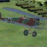 Halberstadt D.II