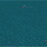 HMS Leander Class CL fix