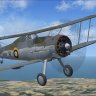 Gloster Gladiator Mk2 N5519 ‘Charity’ by PW FS9