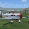 De Havilland D.H.83 Fox Moth ZK-AGM by PW FS9
