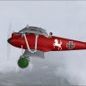 Pfalz D.IIIa Jasta 5