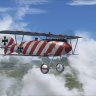 RH_Albatros_D.III_Loeser