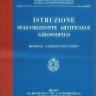 Italian Regia Aeronautica WWII Instruments Pilot's Handbook