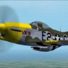 VB Planes P-51D_Lou IV.zip