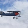 RH_Albatros_D.III_Berthold