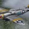 Republic P-47-25 57th FG "Schmaltzie"