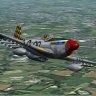 Alternative prop textures, dp and FM for BR2's P-51D Mustang.zip