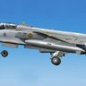 FS2004_Alphasim_Sepecat_Jaguar_T2A_texture.zip