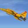 USAF Yellow F-5A.zip