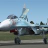 Alphasim Su-27 "Flanker" Russia AF #23.zip