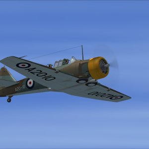 Wirraway A20 10