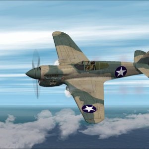 Curtiss P 40E Warhawk 9th FS Texas Longhorn