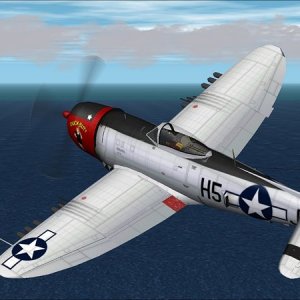 Republic P 47D Thunderbolt BT3 Duck Butt