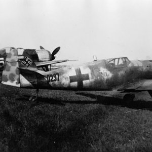 Messerschmitt Bf 109G10R3 Erla 10.JG51 Yellow 5 Horst Walter Petzschler WNr 130297 interned Swed