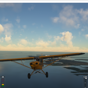 Microsoft Flight Simulator 4_20_2023 07_33_22 AM.png