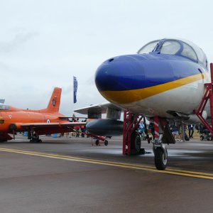 P1020790.JPG