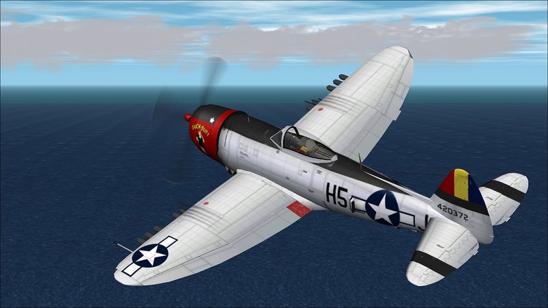 Republic P 47D Thunderbolt BT3 Duck Butt